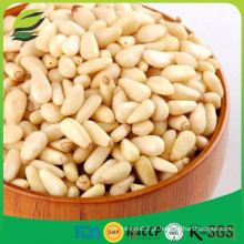 Venda por atacado Pine Nut Kernel Hot Sale Pine Nut from China